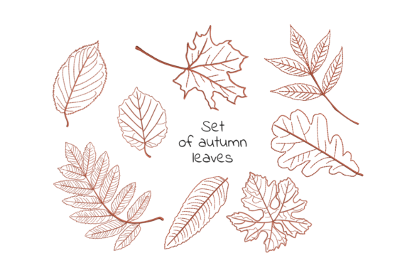 Autumn Falling Leaves: A Designer's Practical Review for Real Projects