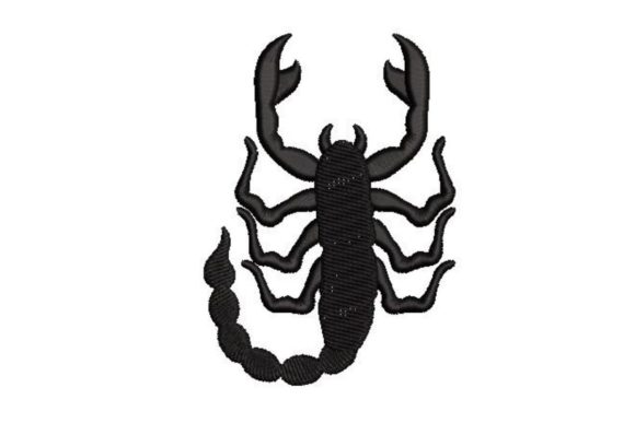 Scorpio Zodiac Sign Design for Boutique Apparel